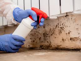 Best Water Damage & Mold Remediation  in Swift Trail Junction, AZ